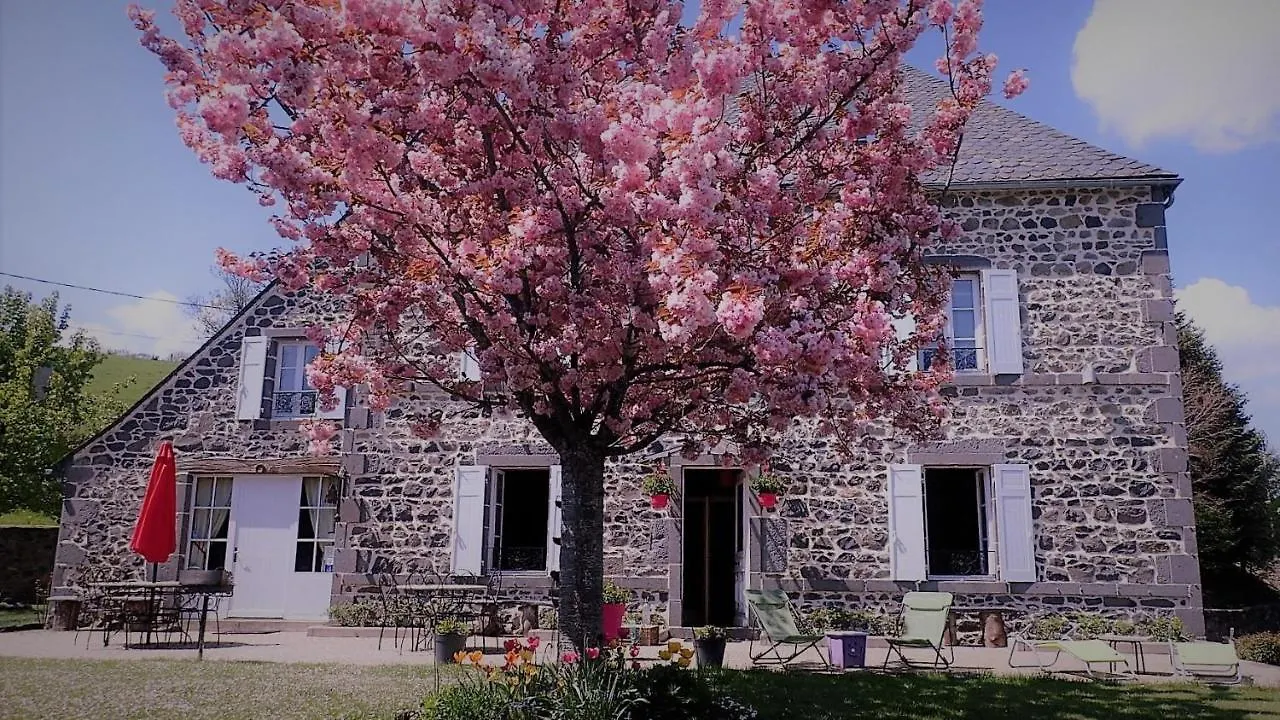 住宿加早餐酒店 Maison D'Hotes La Nichee Rochefort-Montagne